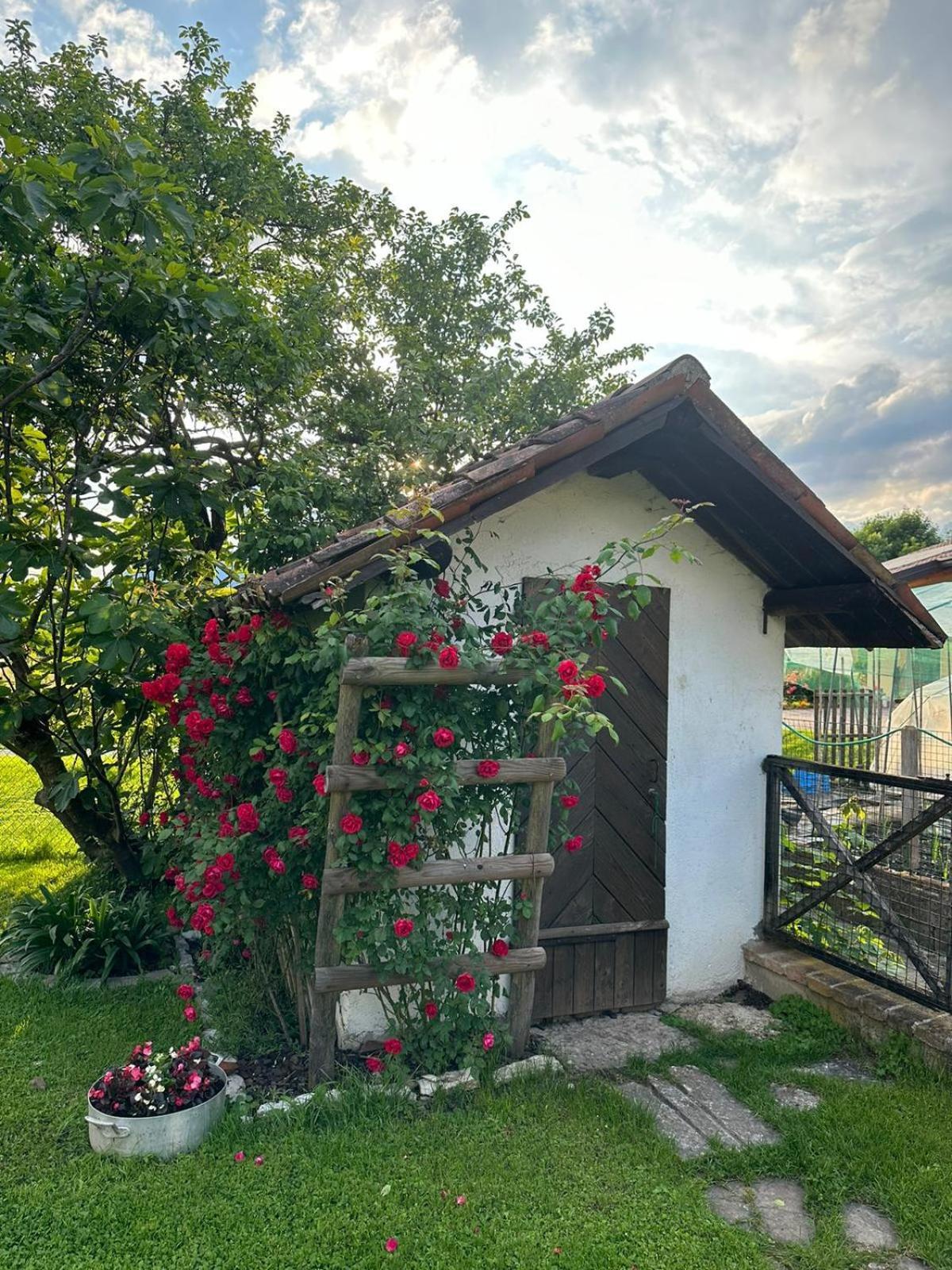Casa Giovannella แฟลเตร ภายนอก รูปภาพ